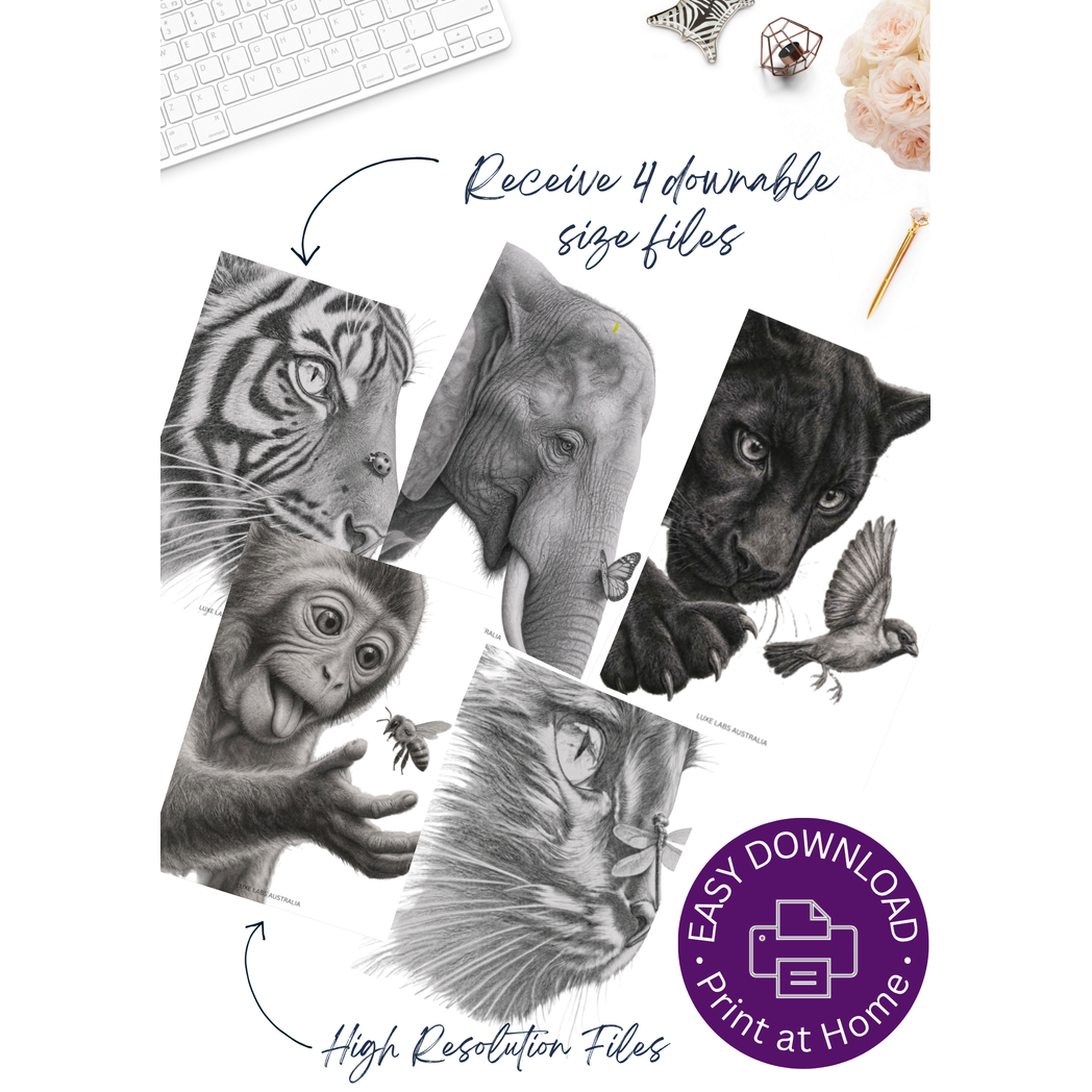 Wings and Whiskers Series | Digital Download