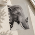 Vellum Dashboard Overlay 160gsm | Wings and Whisker Collection | 5 Dashboard Set
