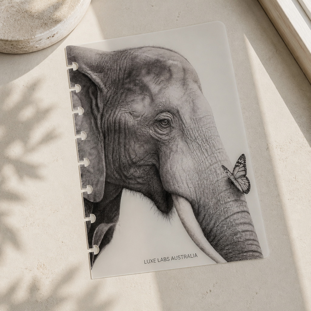 Vellum Dashboard Overlay 160gsm | Wings and Whisker Collection | 5 Dashboard Set
